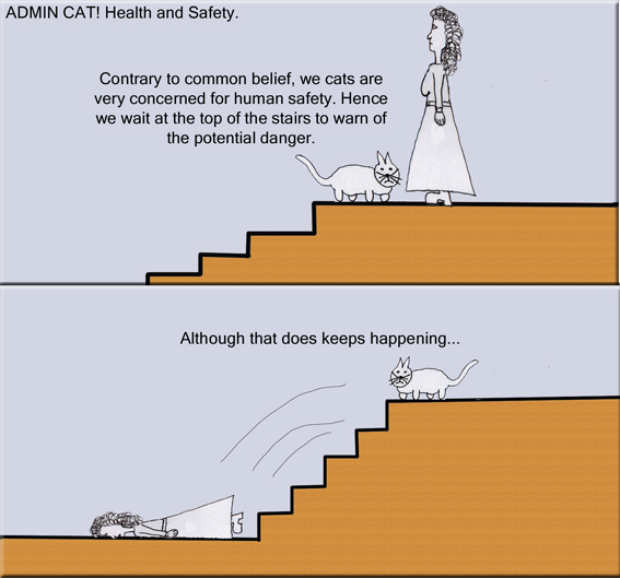 Admin Cat Health & Safety copy